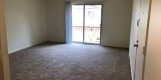 Chateau Knoll Gallery 23