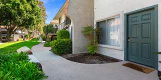 Terra Camarillo Gallery 23