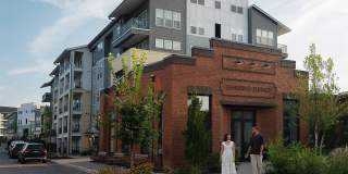 Livano Nations Gallery 23