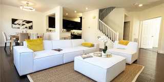 10 Salton Gallery 9