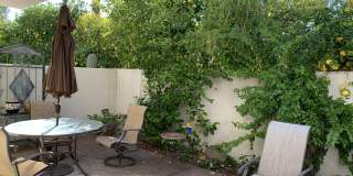 7222 E GAINEY RANCH Road 7222 E GAINEY RANCH Road Gallery 15