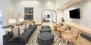 Vine North Hills Gallery 11