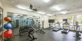 The Boulevard at Deer Park Gallery 45