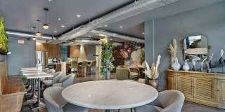 Lotus Republic Gallery 7
