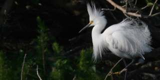 127 Sunset Cove Lane Gallery 33