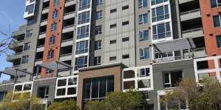 Live in the Heart of Little Italy at La Vita — 1 Bed / 1 Bath Condo with Parking, Laundry & Resort-Style Amenities Live in the Heart of Little Italy at La Vita — 1 Bed / 1 Bath Condo with Parking, Laundry & Resort-Style Amenities Gallery 1