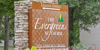 Evergreens at Laurel Gallery 13
