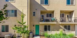5224 Beachfront Cove St. Gallery 29