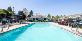 Avana Evergreen Gallery 47