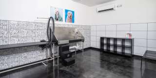 Nova West Gallery 36