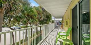 Dolphin Beach Gallery 20