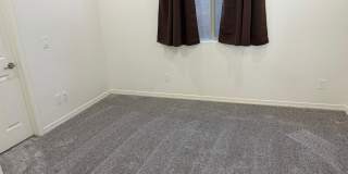 2043 E LANTANA Drive Gallery 4