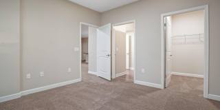 5168 Foxtail Pine Street Gallery 22