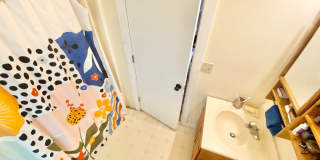 156 Park/Myrtle Street Gallery 11