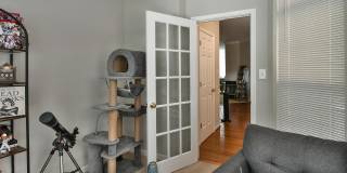 5807 IVY LEAGUE Gallery 18