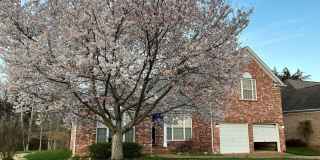 FOR LEASE - 4 BED 2.5 BATH SINGLE-FAMILY HOME IN MT. JULIET Gallery 1