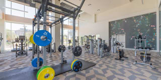 Essence Essence Gallery 19