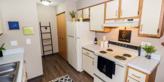 Woodland Trace Gallery 6