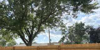 502 East Homer Street Gallery 26