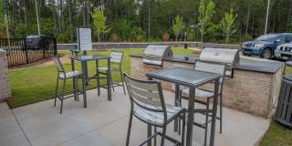 Hawthorne at Pine Forest Gallery 20