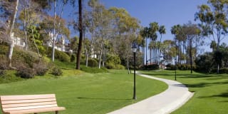 Avalon La Jolla Colony Gallery 23