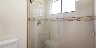 22 Walcott Drive Gallery 14