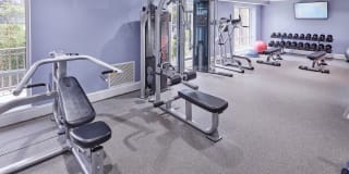 Cavalier Court Gallery 7