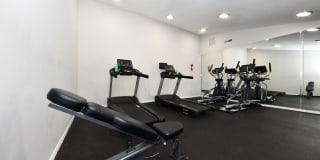 Branchwater Gallery 24