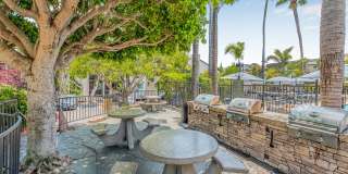 Allina La Jolla Gallery 17