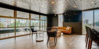 Legacy at Fitz Gallery 44