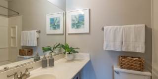 Windsor Estate Apartment Homes Gallery 5