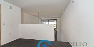 The Louie Gallery 14