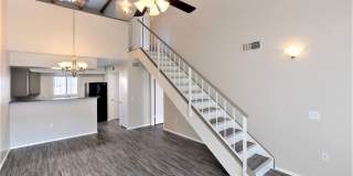 Lion Tempe Gallery 31