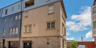 133 SALTER STREET Gallery 2
