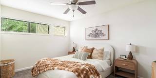 Mountain View Gallery 8