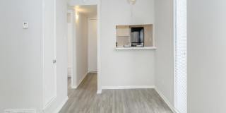 Ayla at Castle Hills Gallery 19