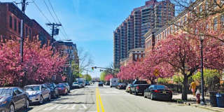 1 GREENE ST Gallery 26