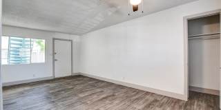 The Hendrix The Hendrix Gallery 37