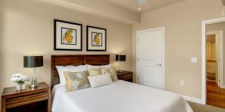 Hills at Sandy Station Gallery 9