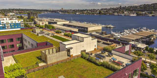Westlake Steps Gallery 11