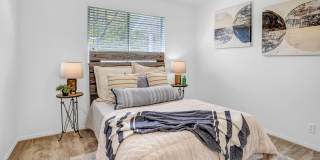 Windmill Cove Gallery 5