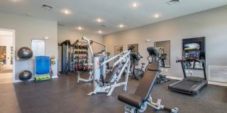 Commonwealth apartments Gallery 12