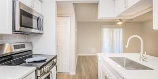 The Julep Gallery 60