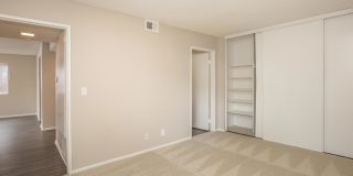 Mountain Springs Gallery 50