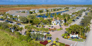 Lexington Palms at the Forum Gallery 40