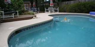 1841 Twelve Oaks Ln E Gallery 7