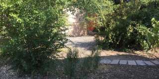 4 bedroom home close to UNR Gallery 18