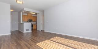 The Village at Town Center Gallery 102