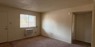 Ponderosa Pines Gallery 1