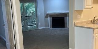 The Signature Gallery 31